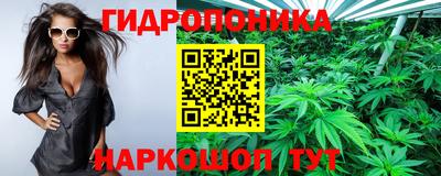 a pvp Краснокаменск