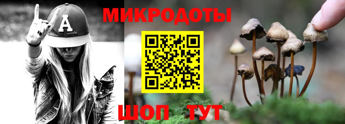 Псилоцибиновые грибы Psilocybe  Вход с VPN  Бахчисарай  Галлюциногенные грибы GOLDEN TEACHER 